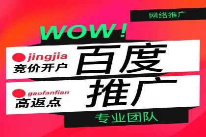 网络推广与竞价策略实战案例
